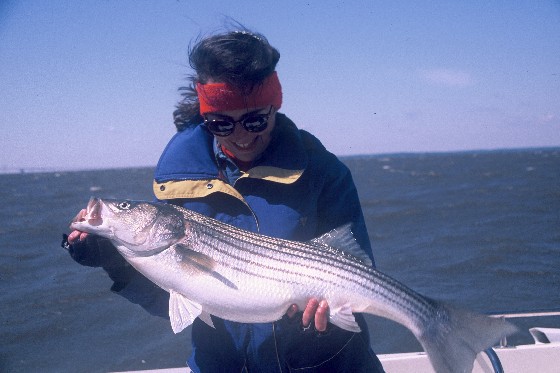 10 Tips for Striped Bass Fishing in the Fall